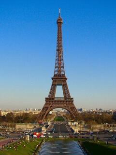 �G�b�t�F�����Ɛ�̌��i