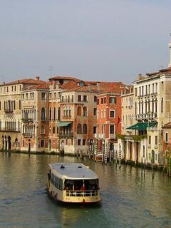 �J�i���E�O�����f�̏�i