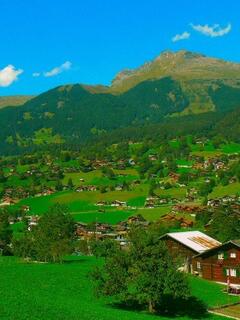 �X�C�X�̍����̕���