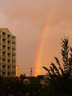 ���ƃs���N�̗[�Ă�