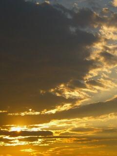 �����̌��i