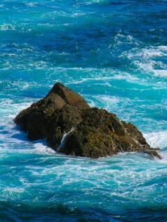 ��Ɣ����g