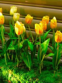 ���F���`���[���b�v�̑��ԁH