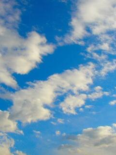 �n�}�̂悤�ȋ�