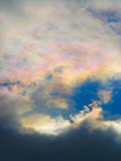 �_�̒����̍ʉ_