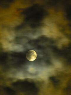 �����_����������