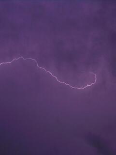 ��ȂƎ��F�̋�