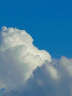 �Ă�������_