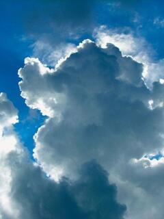 �������֊s���Ƃ炷�_